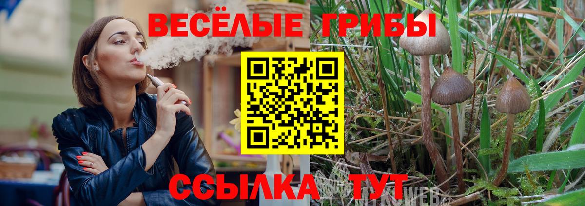 Галлюциногенные грибы GOLDEN TEACHER  Вход с VPN  Солнечногорск 